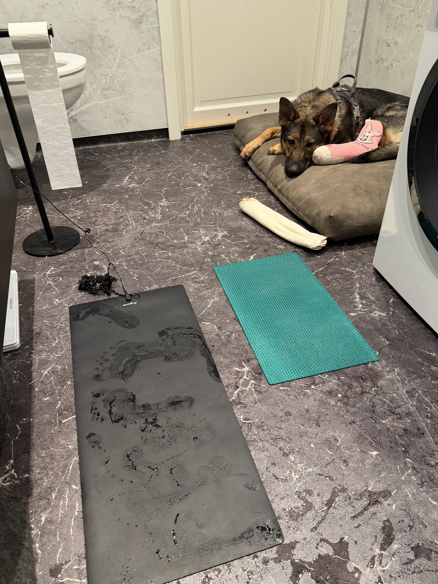 Kriger ligger i senga si med rosa sokk over bandasjen på venstre bakfot
